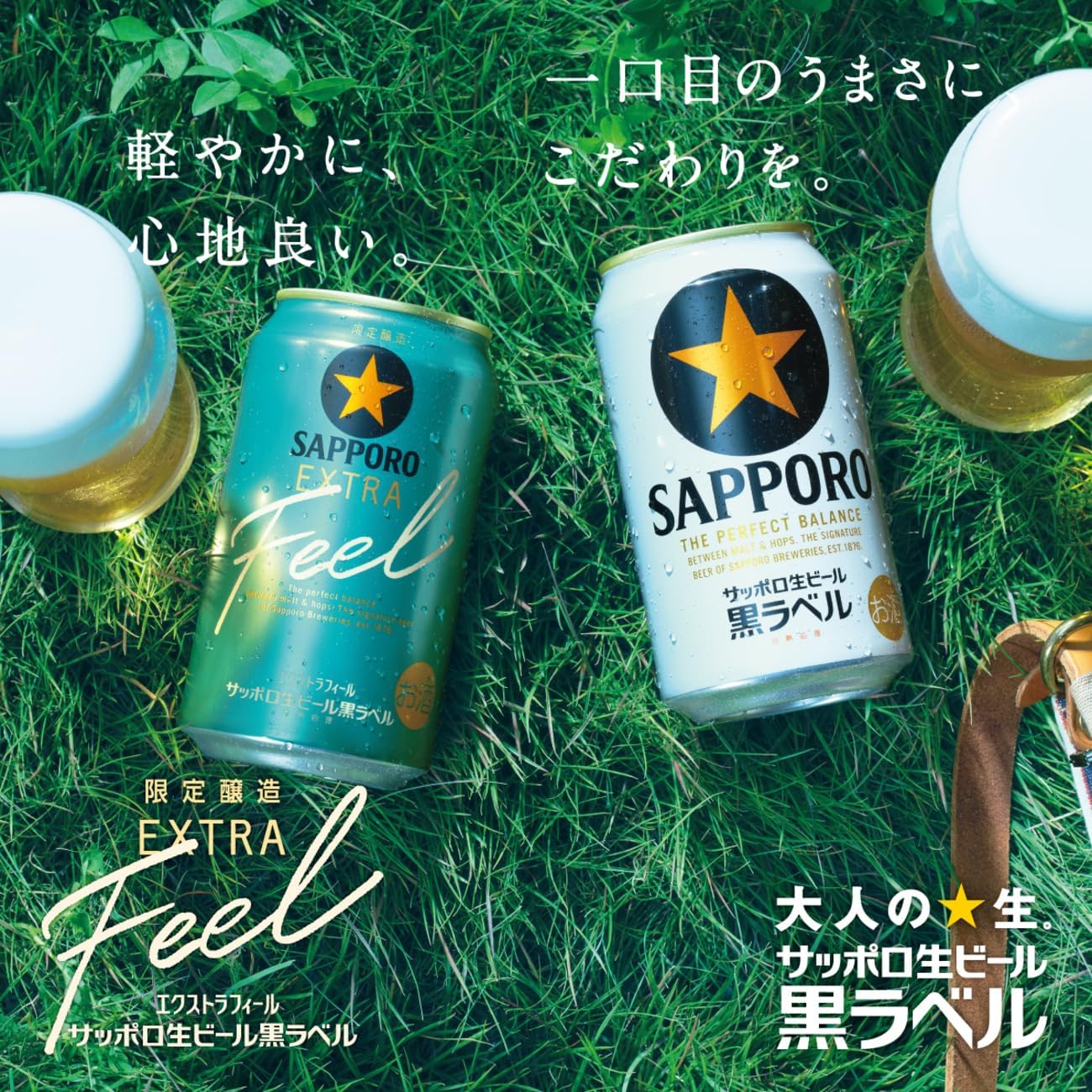 Amazon.co.jp: 【ネット限定】サッポロ 黒ラベル2種10本 飲み比べ